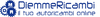 Diemmericambi Logo